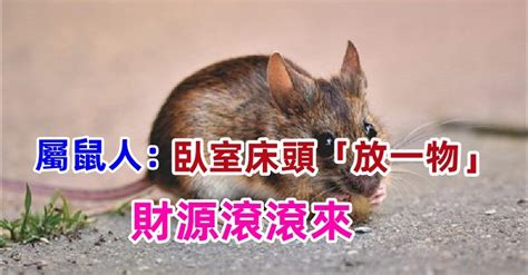 屬鼠的床位|【屬鼠臥室床位風水】屬鼠的人床怎麼擺放 